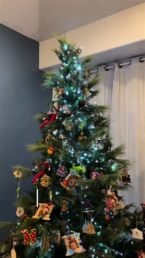 Vlogmas day 24! ❤️💚🤍 Christmas Eve 🎄 Spen the day fully present and fully excited with the family. Merry Christmas!! #vlogmas