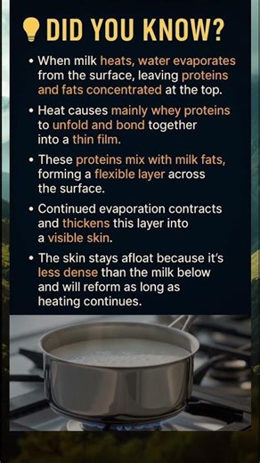 Why milk forms a skin when heated 🥛🔥 | Everyday Food Science #dairyscience
