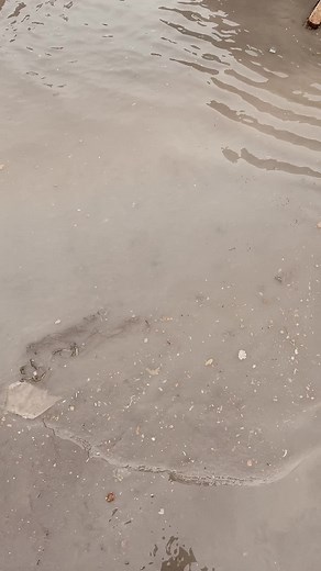 #drain #draincleaning #drainpro #makeitviral #rod #blockage