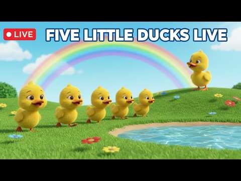 🔴 Five Little Ducks LIVE 🦆 24/7 Nursery Rhymes & Kids Songs Stream