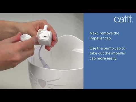 How to Setup Catit Smart Water Fountain | Step-by-Step Guide