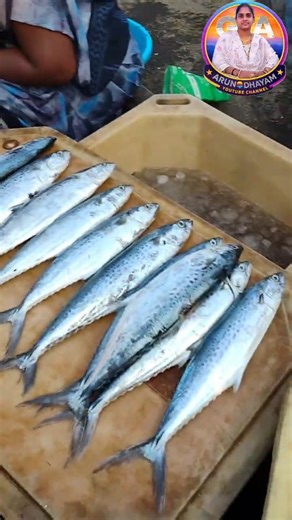 చాపల గుడ్లు పెట్టే time#fishingharbour #vizagfishingharbour #fish#harbour #fishmarket #seafoodlovers