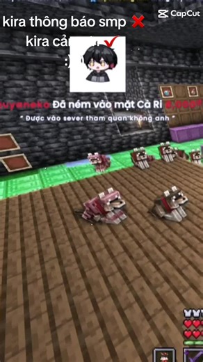 ◇asyna◇{♡} trên TikTok