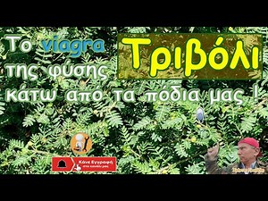 𝝩𝞀𝝸𝝱ό𝝺𝝸: 𝝩𝝾 𝘃𝗶𝗮𝗴𝗿𝗮 𝞃𝝶ς 𝞅ύ𝞂𝝶ς 𝝹ά𝞃𝞈 𝝰𝝿ό 𝞃𝝰 𝝿ό𝝳𝝸𝝰 𝝻𝝰ς