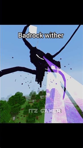 Java Vs badrock wither 💀||#trending #memes #shorts