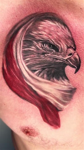 Night Angel Art on TikTok