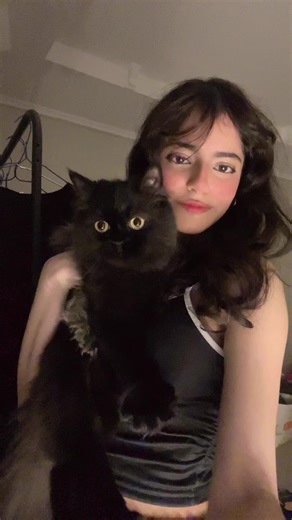 ‏#fyp #wlw اسود يلمع | purple box wlw