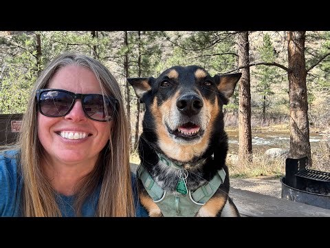 SOLO Female Camping | Where it all went WRONG | Shelter DESTROYED