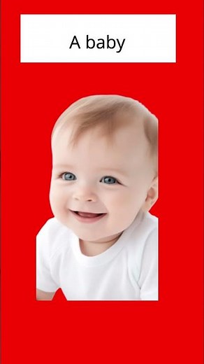 Family Members names in French |Learn Family Members With Names in French| Basic French Learning