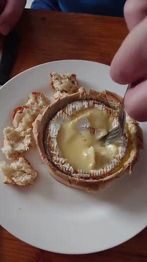 camember cheese _ The most stinkiset cheese in the world / Phô mai thúi nhất thế giới #shorts