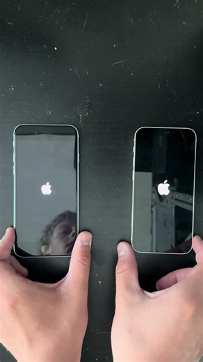 iPhone SE (2nd Generation) vs iPhone 12 mini