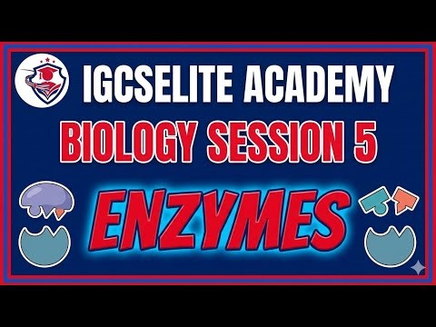 Biology Session 5 Enzymes