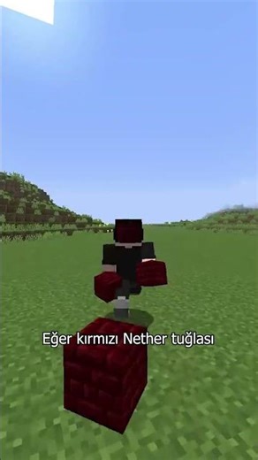 BU TARİFLERİ BİLEN KAÇ KİŞİ VARDIR? #minecraft