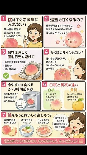 桃は冷蔵庫に入れると甘くならない？知らないと損する保存と食べ方【管理栄養士監修】