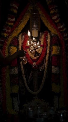 Spiritual Vellore to Tirupati One Day Tour Experience