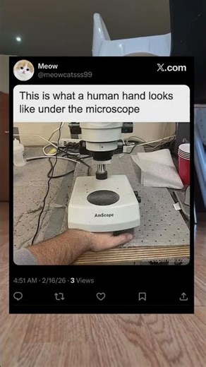 Human hand under a microscope