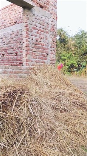 #Sohail Bhai Vinodhan2 #niyamita funny video Dekhte senalty Tasker #Kore Rakul #