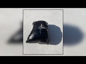 SWAT raid in Clay Hill yields arrest, 325 grams of meth