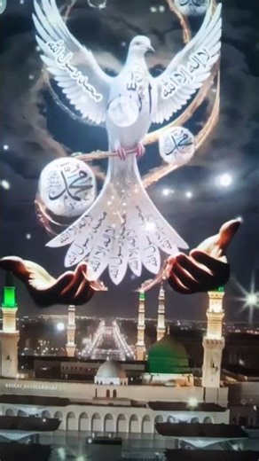 কোন মানুষ তাড়াতাড়ি মারা যায় কোন মানুষ দেরিতে মারা যায় #knowledgehook