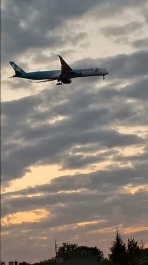 Massive French bee A350-1000 landing at Newark Airport at golden hour!