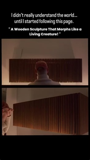 Sᴜᴍɪᴛ | This video shows a kinetic wooden sculpture designed to transform its shape through a series of interconnected slats that rotate around a... | Instagram