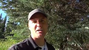 3K views · 26 reactions | Can you climb into a Beaver Lodge? Is there a difference between a home and a dam? | What's Inside? | Facebook