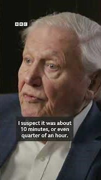David Attenborough on unforgettable gorilla encounter in Rwanda - BBC Africa