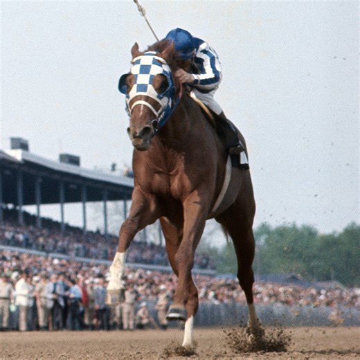 Horse history. Secretariat had a heart that was roughly 3 times the size of an average horse’s heart. 18 of the 19 horses scheduled to run last Saturday are descendants of this racing legend.