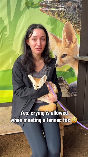 Animal World & Snake Farm Zoo on Instagram: "You too can meet a fennec fox here at Animal World & Snake Farm Zoo in New Braunfels! And crying is totally allowed! 🥹 #fennecfox #cute #newbraunfels"