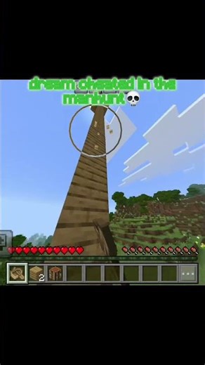 Minecraft #minecraft