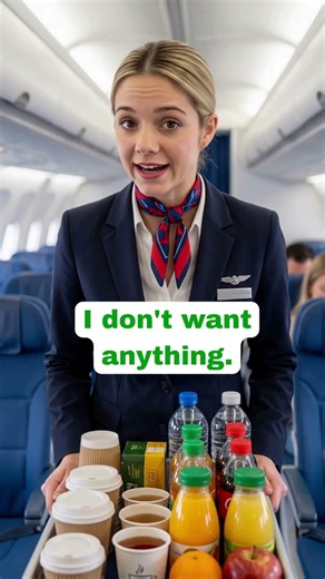 Confused Airplane Passenger ✈️ #englishtips #englishlanguage #shorts