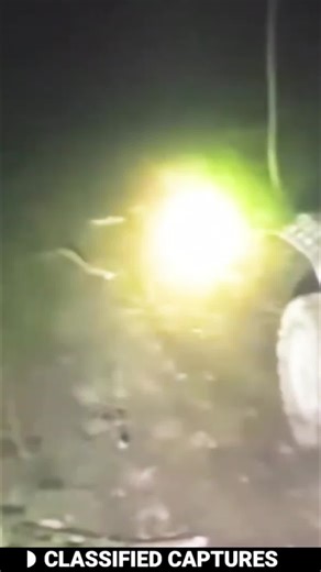 Scout's late-night investigation takes a wild turn! What is that thing?! #Mystery #NightAdventure #StrangeCreatures #WhatIsThat