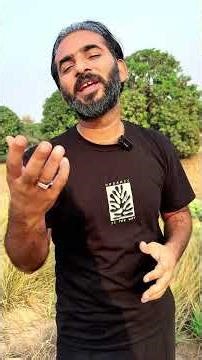 Burning Fields is Burning Life! 🐜🌿