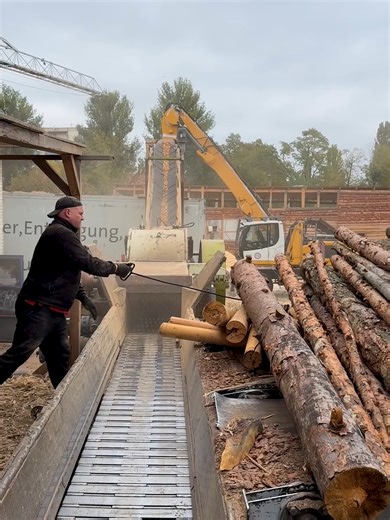 Timber manufacturing line operating with a large industrial wood chipper. This video shows a wood chipper machine processing logs inside a commercial sawmill during active production. Captured process: industrial timber processing wood chipper manufacturing equipment log handling machinery sawmill production line wood chip output system Logs are fed into a heavy-duty wood chipper as part of a continuous lumber manufacturing workflow. This equipment is commonly used in forestry and commercial woo