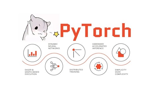 【PyTorch】只看不练，等于白看！！PyTorch深度学习实战案例，还不拿下！100个练手项目合集，七天练完，练完即可就业！（从入门到精通，小白也能学会）