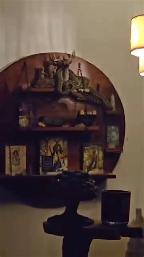 3.8K views · 737 reactions | Mr Spicy is well trained!  This Coastal Carpet Python from Kallangur was very kind and didn’t knock a single thing off this shelf! Luckily for Wooly, the snake went straight into the bag, saving Wooly from a potential defensive bite! Also very sorry for the video quality on this one! The room was quite dark. Hopefully you can still see the snake well enough!  0408545440 #coastalcarpetpython #nonvenomous | Sunshine Coast Snake Catchers 24/7 | Facebook