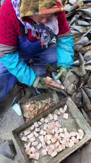 Separating Clam Meat from Its Shell #SeafoodPrep #shortvideo #fypシ