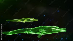 3d rendered animation cartoon crocodiles