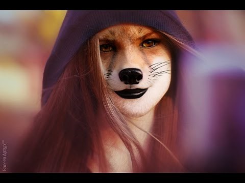 Dog Tfs - Sequence 2