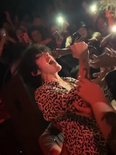 The One That You Love by LP - Meaning and Lyrics