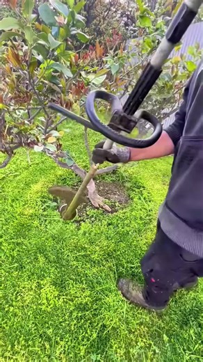 Discover the Joy of Gardening ASMR
