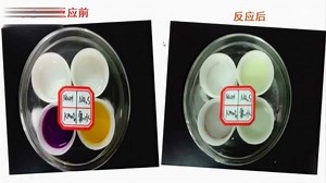 二氧化硫的还原性与氧化性