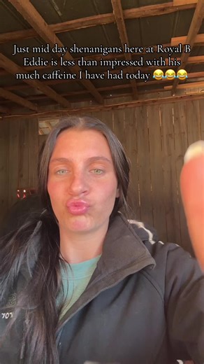 Mid-Day Shenanigans: Testing New Horse Products