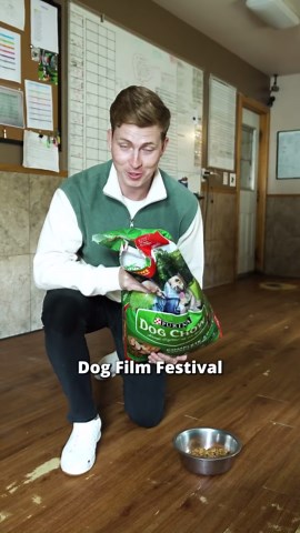 How Service Dogs Help Veterans Living With PTSD