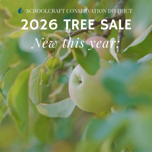 We're excited to introduce some new species in this year's tree sale, including some new varieties of fruit trees and honeyberries! Learn more about these and other species at schoolcraftcd.org/tree-sale! | Schoolcraft Conservation District