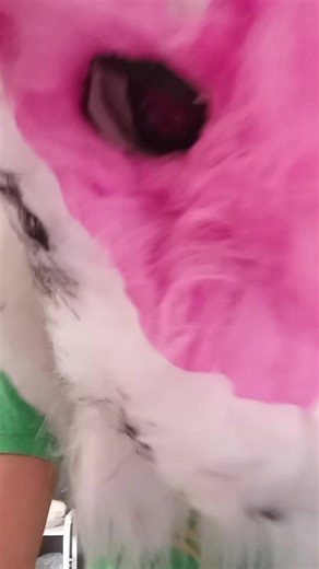 Cray for me Mas furry Kawaiishork paralise kaiju