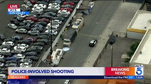 Dog killed after biting LAPD officer during Sun Valley stop