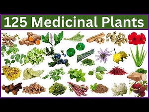 125 Medicinal Plants and Their Usage | Natural Remedies