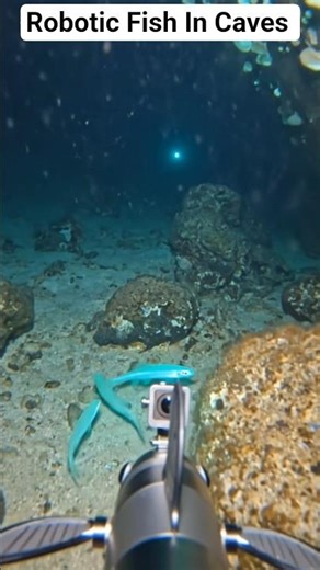 Tiny Robot Finds Glowing Fish Inside a Dark Cave