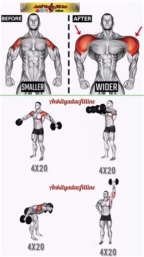 Top 16 Exercise For Lateral Deltoid of Shoulder #workout #shoulderworkout#fitness#shoulder#memes